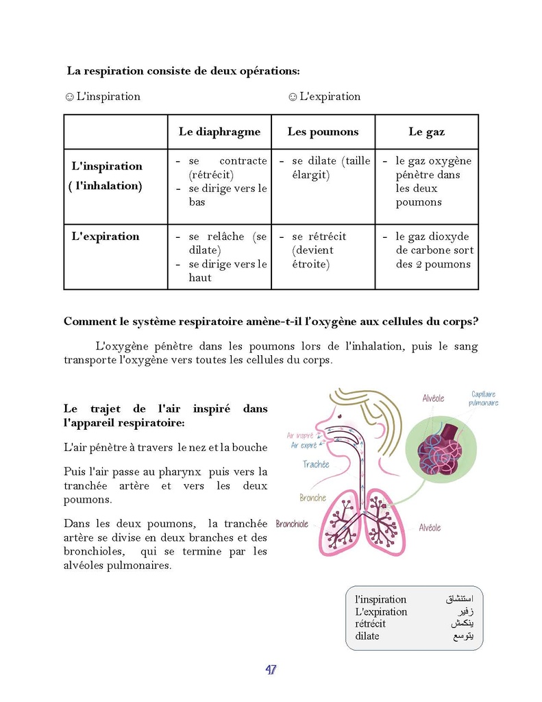 Savoir Plus - Science - 4e - 1s.